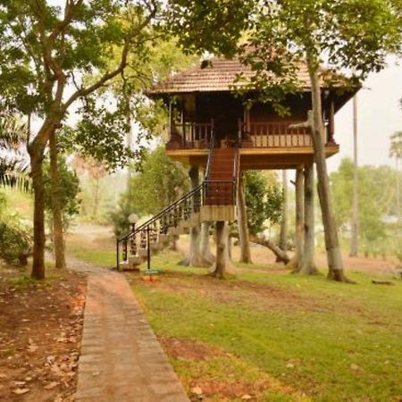 Isola Di Cocco Ayurvedic Beach Resort Poovar Ngoại thất bức ảnh