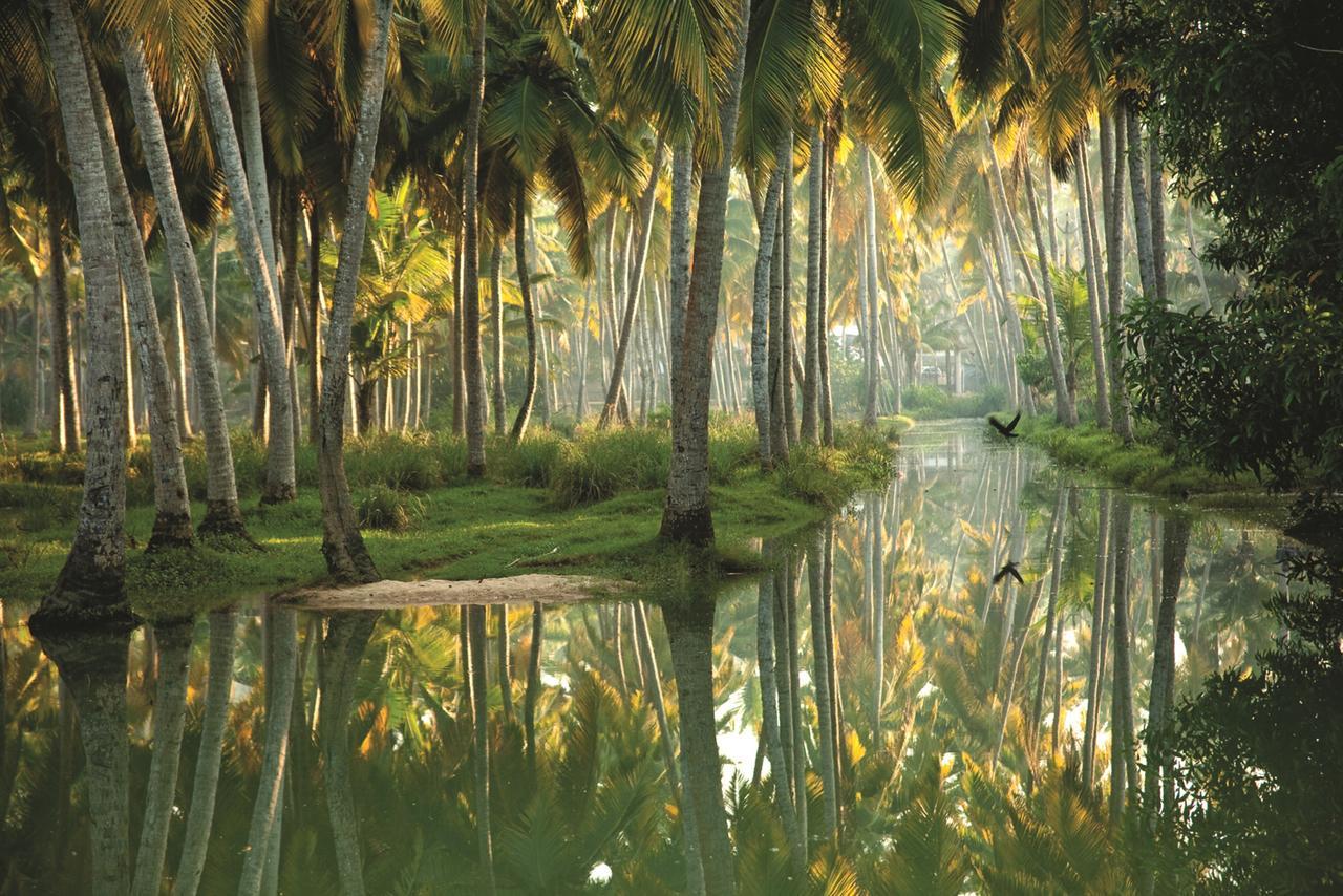 Isola Di Cocco Ayurvedic Beach Resort Poovar Ngoại thất bức ảnh