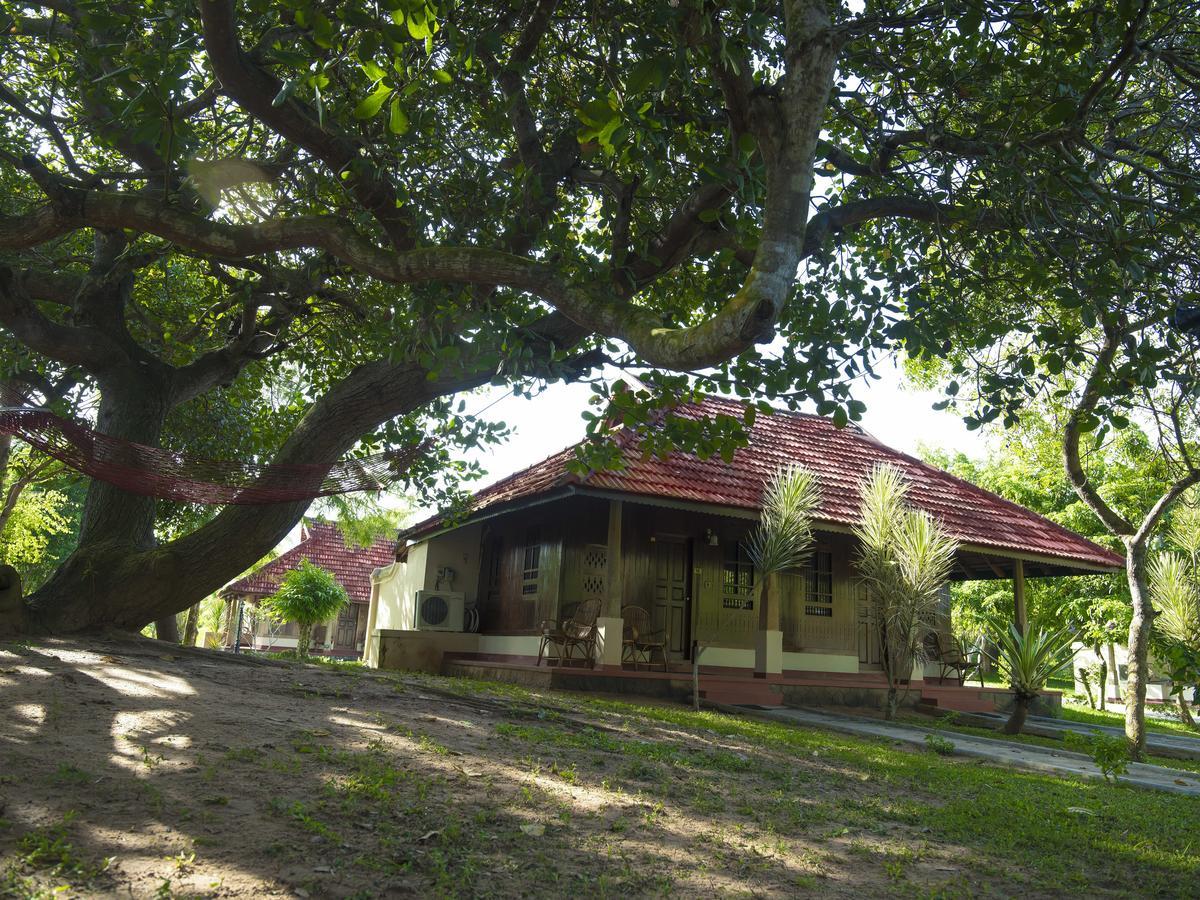 Isola Di Cocco Ayurvedic Beach Resort Poovar Ngoại thất bức ảnh
