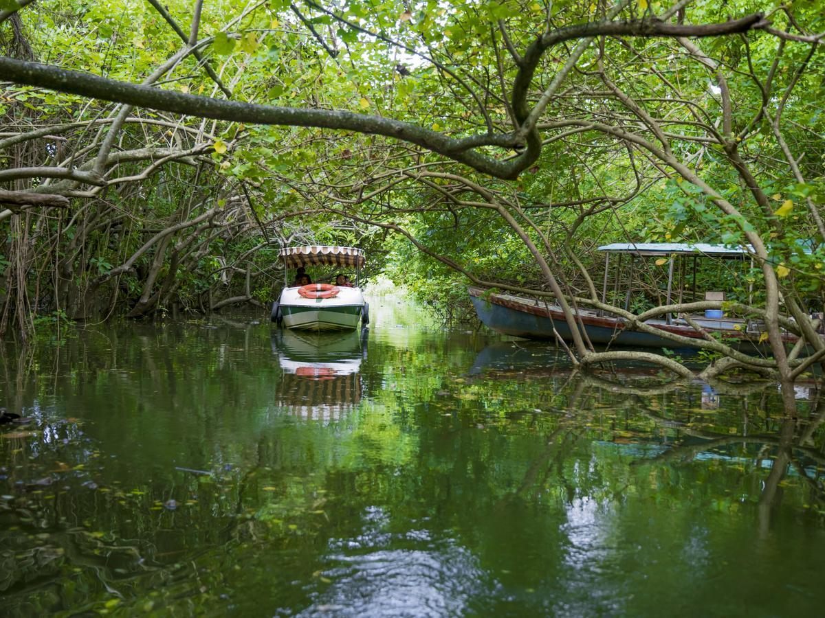 Isola Di Cocco Ayurvedic Beach Resort Poovar Ngoại thất bức ảnh